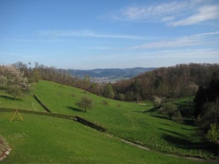 Waldschenke Fuhr Hotel Heppenheim  Екстериор снимка